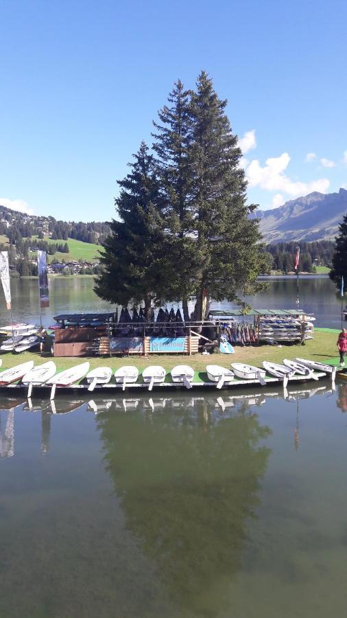 Ferien In Der Region Lenzerheide Apartment Екстериор снимка