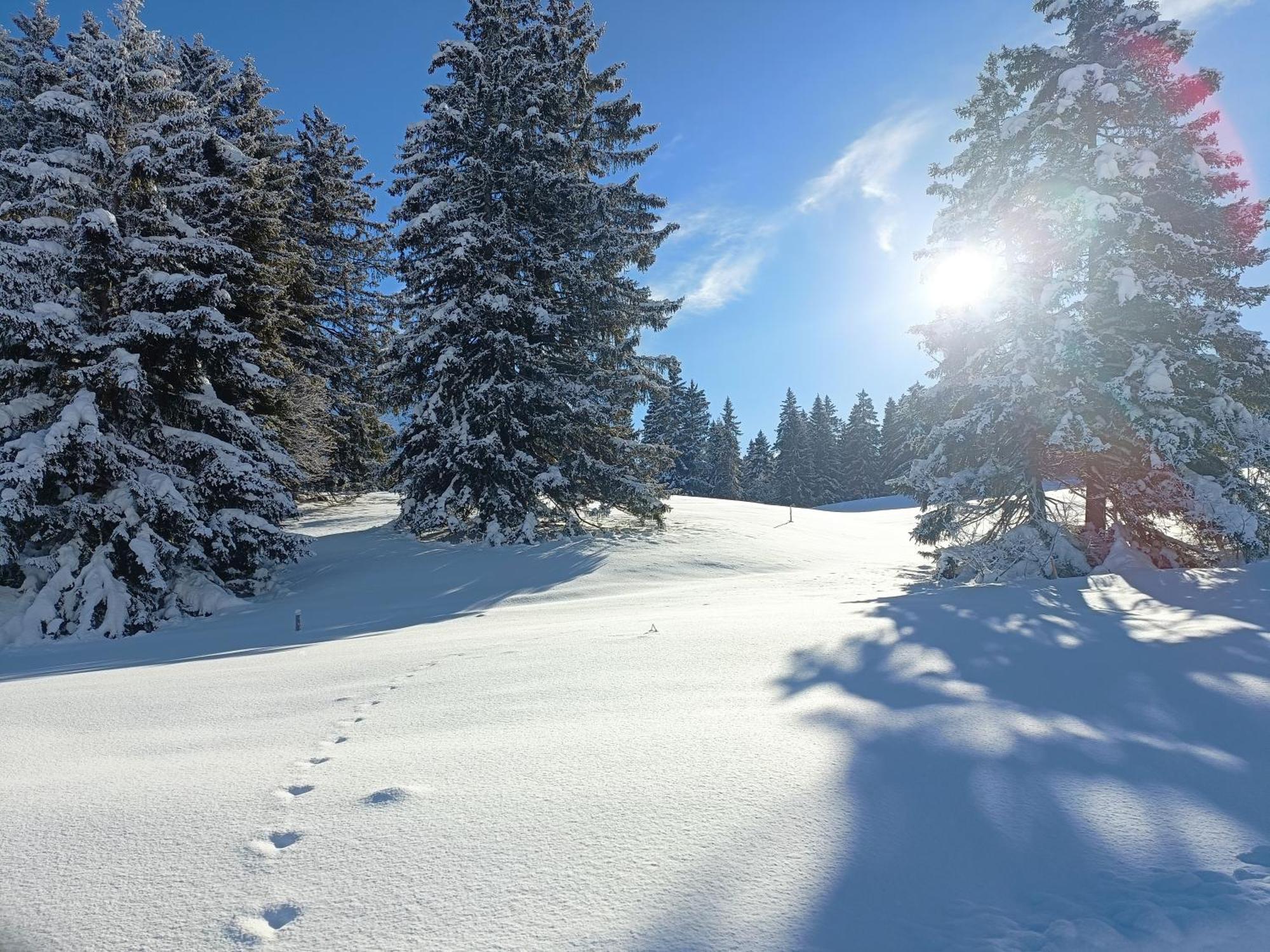 Ferien In Der Region Lenzerheide Apartment Екстериор снимка